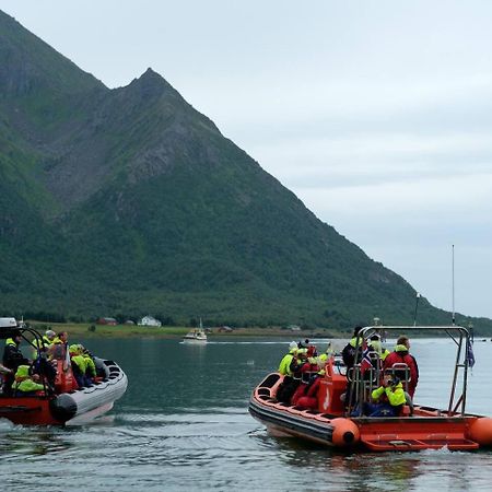 Leilighet Med Fantastisk Utsikt Henningsvær Exteriör bild